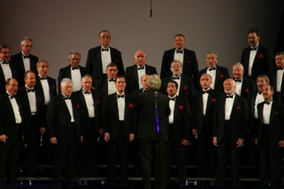 IMG_4135-vi.jpg - 27697 Bytes